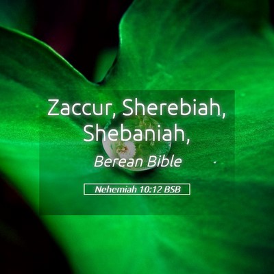 Picture 05 - Nehemiah 10:12 BSB - Zaccur, Sherebiah, - Bible Verse Picture