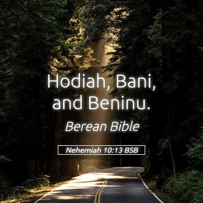 Picture 05 - Nehemiah 10:13 BSB - Hodiah, Bani, and - Bible Verse Picture