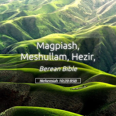Picture 05 - Nehemiah 10:20 BSB - Magpiash, Meshullam, - Bible Verse Picture
