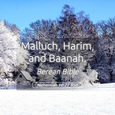 Picture 05 - Nehemiah 10:27 BSB - Malluch, Harim, and - Bible Verse Picture