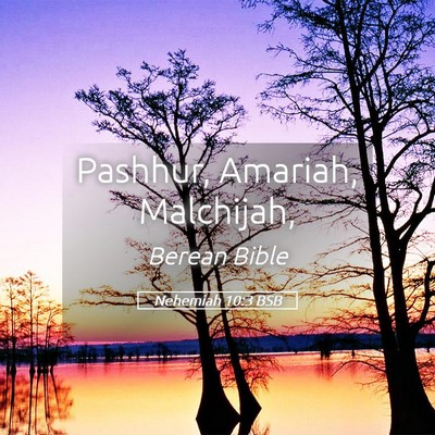 Picture 05 - Nehemiah 10:3 BSB - Pashhur, Amariah, - Bible Verse Picture