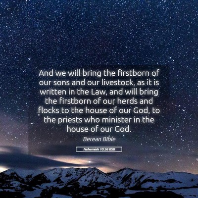 Picture 05 - Nehemiah 10:36 BSB - And we will bring the firstborn of our sons and - Bible Verse Picture
