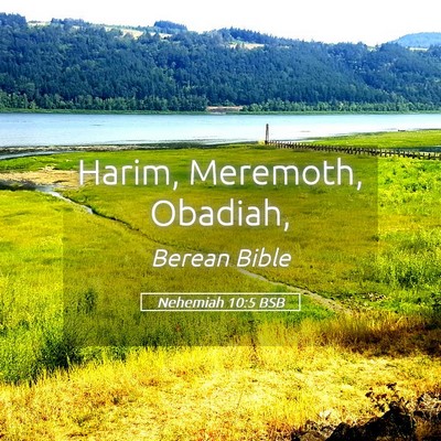 Picture 05 - Nehemiah 10:5 BSB - Harim, Meremoth, - Bible Verse Picture