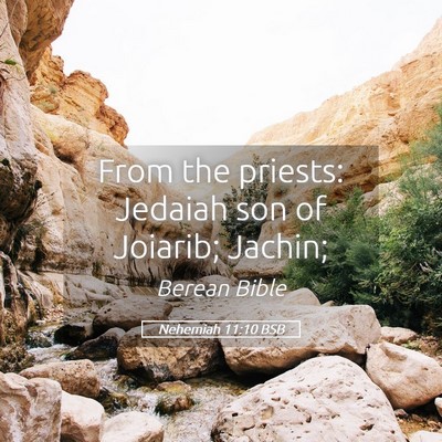 Picture 05 - Nehemiah 11:10 BSB - From the priests: Jedaiah son of Joiarib; - Bible Verse Picture