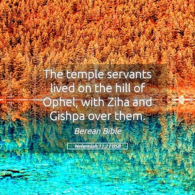 Picture 05 - Nehemiah 11:21 BSB - The temple servants lived on the hill of Ophel, - Bible Verse Picture