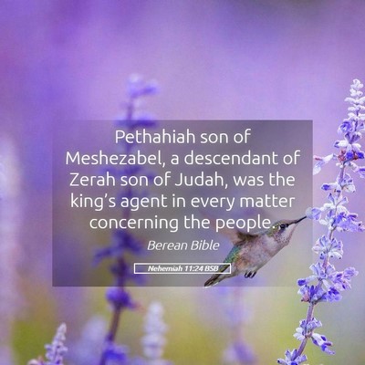 Picture 05 - Nehemiah 11:24 BSB - Pethahiah son of Meshezabel, a descendant of - Bible Verse Picture