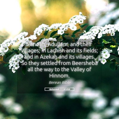 Picture 05 - Nehemiah 11:30 BSB - Zanoah, Adullam, and their villages; in Lachish - Bible Verse Picture