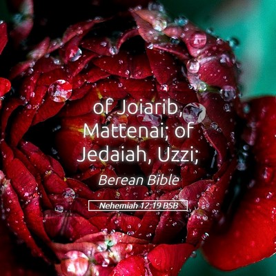 Picture 05 - Nehemiah 12:19 BSB - of Joiarib, Mattenai; of Jedaiah, - Bible Verse Picture