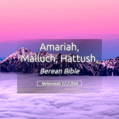 Picture 05 - Nehemiah 12:2 BSB - Amariah, Malluch, - Bible Verse Picture