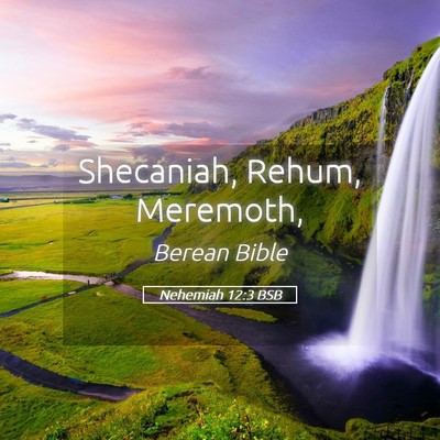 Picture 05 - Nehemiah 12:3 BSB - Shecaniah, Rehum, - Bible Verse Picture