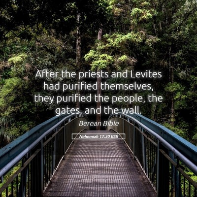 Picture 05 - Nehemiah 12:30 BSB - After the priests and Levites had purified - Bible Verse Picture