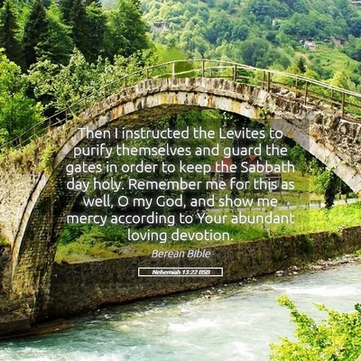 Picture 05 - Nehemiah 13:22 BSB - Then I instructed the Levites to purify - Bible Verse Picture