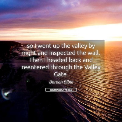 Picture 05 - Nehemiah 2:15 BSB - so I went up the valley by night and inspected - Bible Verse Picture