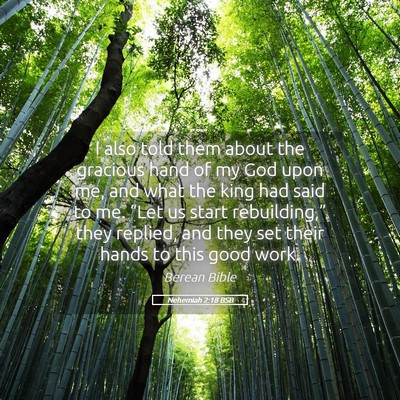 Picture 05 - Nehemiah 2:18 BSB - I also told them about the gracious hand of my - Bible Verse Picture
