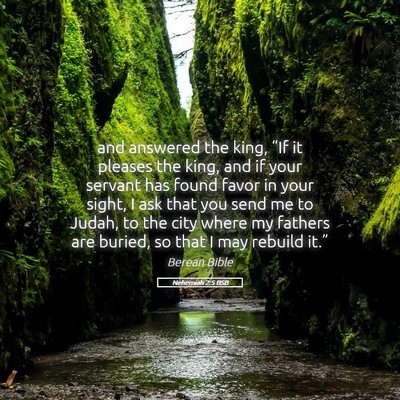 Picture 05 - Nehemiah 2:5 BSB - and answered the king, “If it pleases the king, - Bible Verse Picture
