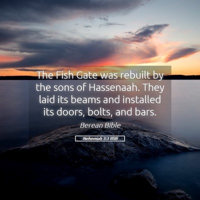 Picture 05 - Nehemiah 3:3 BSB - The Fish Gate was rebuilt by the sons of - Bible Verse Picture