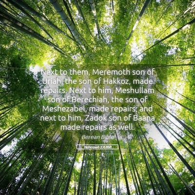 Picture 05 - Nehemiah 3:4 BSB - Next to them, Meremoth son of Uriah, the son of - Bible Verse Picture