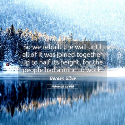 Picture 05 - Nehemiah 4:6 BSB - So we rebuilt the wall until all of it was joined - Bible Verse Picture