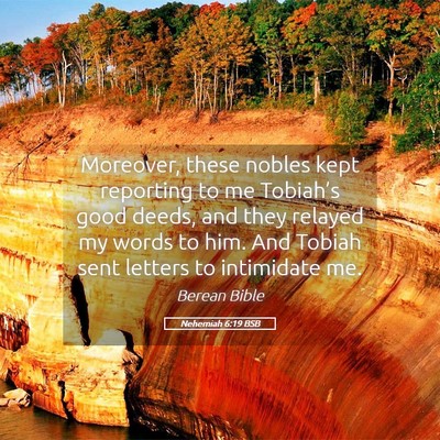 Picture 05 - Nehemiah 6:19 BSB - Moreover, these nobles kept reporting to me - Bible Verse Picture