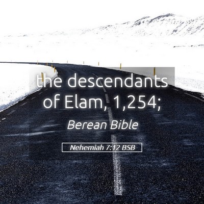 Picture 05 - Nehemiah 7:12 BSB - the descendants of Elam, - Bible Verse Picture