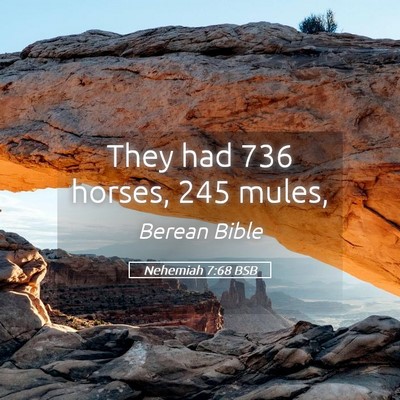 Picture 05 - Nehemiah 7:68 BSB - They had 736 horses, 245 - Bible Verse Picture