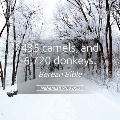 Picture 05 - Nehemiah 7:69 BSB - 435 camels, and 6,720 - Bible Verse Picture