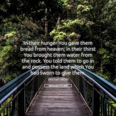 Picture 05 - Nehemiah 9:15 BSB - In their hunger You gave them bread from heaven; - Bible Verse Picture