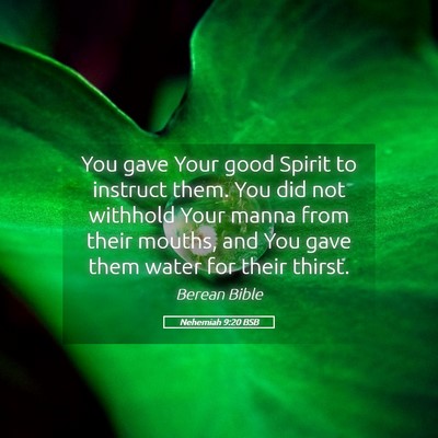 Picture 05 - Nehemiah 9:20 BSB - You gave Your good Spirit to instruct them. You - Bible Verse Picture