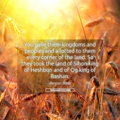 Picture 05 - Nehemiah 9:22 BSB - You gave them kingdoms and peoples and allotted - Bible Verse Picture