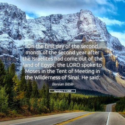 Picture 05 - Numbers 1:1 BSB - On the first day of the second month of the - Bible Verse Picture