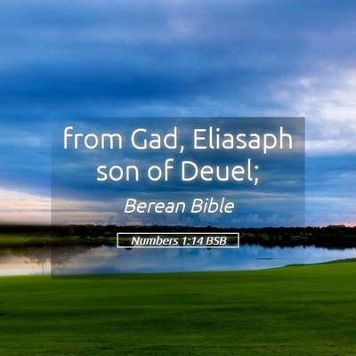 Picture 05 - Numbers 1:14 BSB - from Gad, Eliasaph son of - Bible Verse Picture
