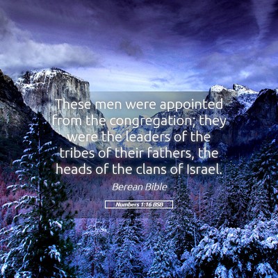 Picture 05 - Numbers 1:16 BSB - These men were appointed from the congregation; - Bible Verse Picture