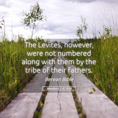 Picture 05 - Numbers 1:47 BSB - The Levites, however, were not numbered along - Bible Verse Picture