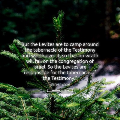 Picture 05 - Numbers 1:53 BSB - But the Levites are to camp around the tabernacle - Bible Verse Picture