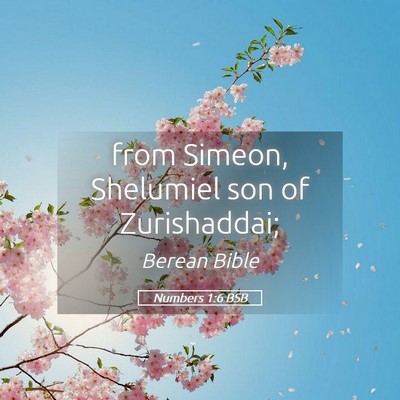 Picture 05 - Numbers 1:6 BSB - from Simeon, Shelumiel son of - Bible Verse Picture