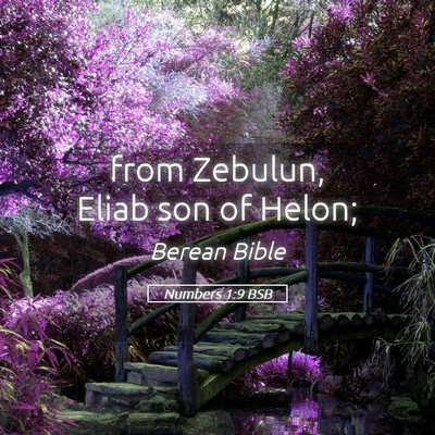 Picture 05 - Numbers 1:9 BSB - from Zebulun, Eliab son of - Bible Verse Picture