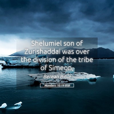 Picture 05 - Numbers 10:19 BSB - Shelumiel son of Zurishaddai was over the - Bible Verse Picture