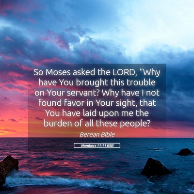 Picture 05 - Numbers 11:11 BSB - So Moses asked the LORD, “Why have You brought - Bible Verse Picture