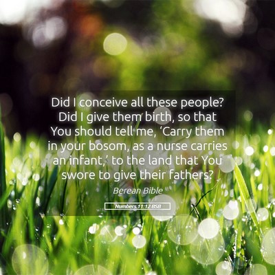 Picture 05 - Numbers 11:12 BSB - Did I conceive all these people? Did I give them - Bible Verse Picture