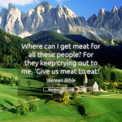 Picture 05 - Numbers 11:13 BSB - Where can I get meat for all these people? For - Bible Verse Picture