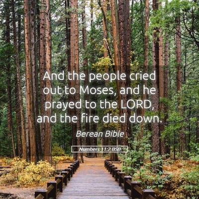 Picture 05 - Numbers 11:2 BSB - And the people cried out to Moses, and he prayed - Bible Verse Picture