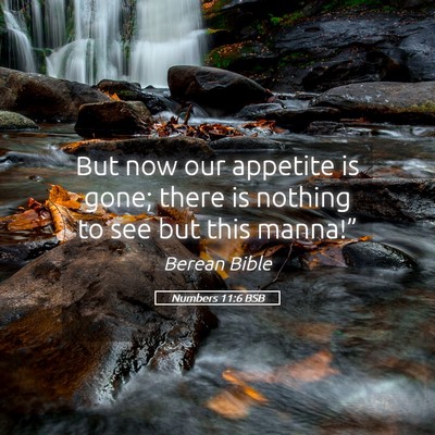 Picture 05 - Numbers 11:6 BSB - But now our appetite is gone; there is nothing to - Bible Verse Picture
