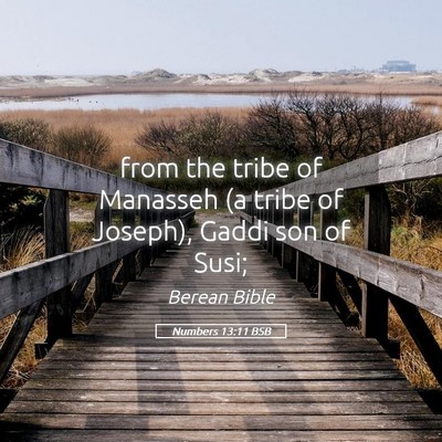 Picture 05 - Numbers 13:11 BSB - from the tribe of Manasseh (a tribe of Joseph), - Bible Verse Picture