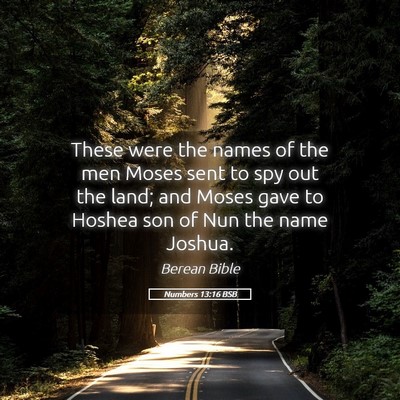 Picture 05 - Numbers 13:16 BSB - These were the names of the men Moses sent to spy - Bible Verse Picture