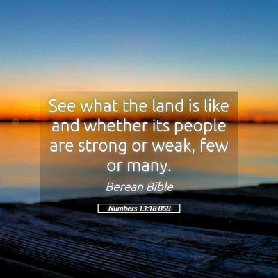 Picture 05 - Numbers 13:18 BSB - See what the land is like and whether its people - Bible Verse Picture