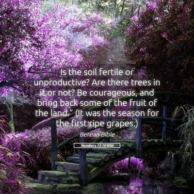 Picture 05 - Numbers 13:20 BSB - Is the soil fertile or unproductive? Are there - Bible Verse Picture