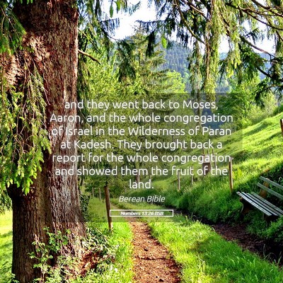 Picture 05 - Numbers 13:26 BSB - and they went back to Moses, Aaron, and the whole - Bible Verse Picture