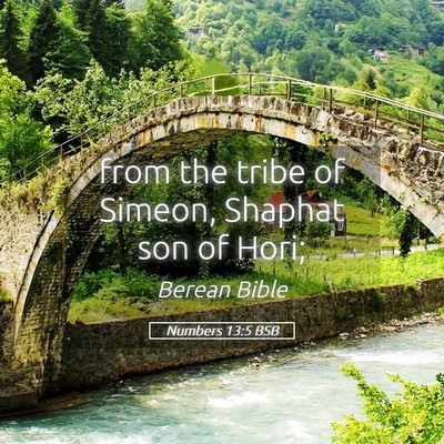 Picture 05 - Numbers 13:5 BSB - from the tribe of Simeon, Shaphat son of - Bible Verse Picture