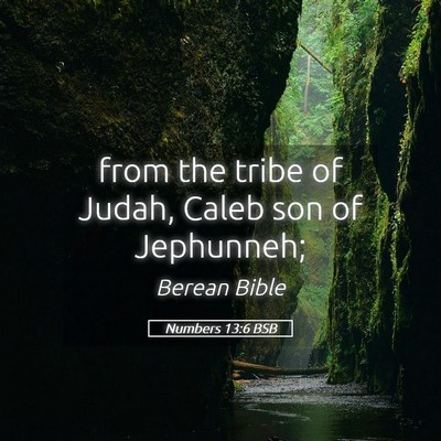 Picture 05 - Numbers 13:6 BSB - from the tribe of Judah, Caleb son of - Bible Verse Picture