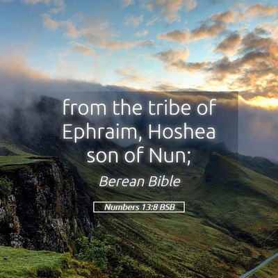 Picture 05 - Numbers 13:8 BSB - from the tribe of Ephraim, Hoshea son of - Bible Verse Picture